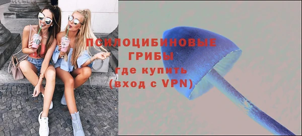 трава Алексин