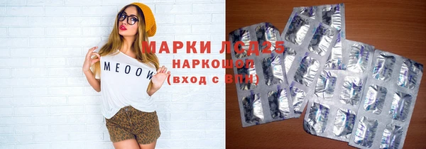 прущие грибы Алзамай