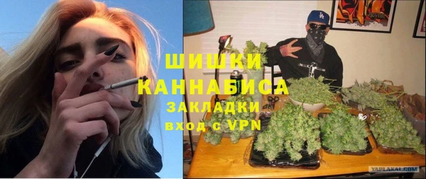 прущие грибы Алзамай